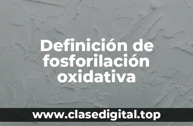 Definición de fosforilación oxidativa
