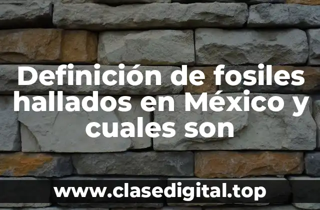 Definición de fosiles hallados en México y cuales son