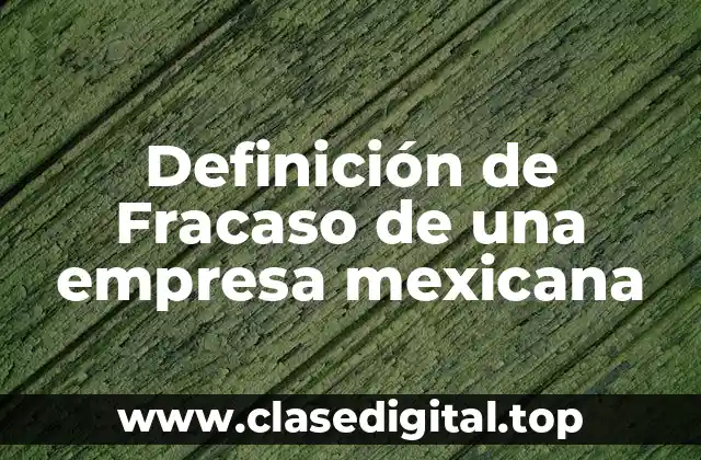 Definición técnica de fracaso de una empresa mexicana