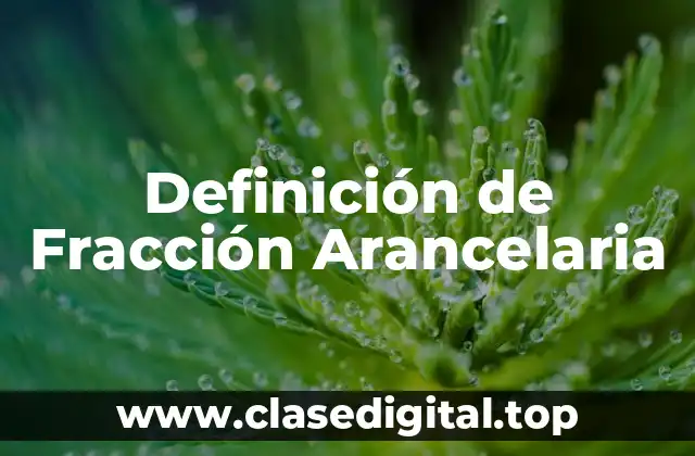 Definición de Fracción Arancelaria
