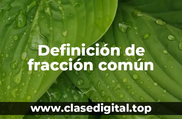 Definición técnica de fracción común