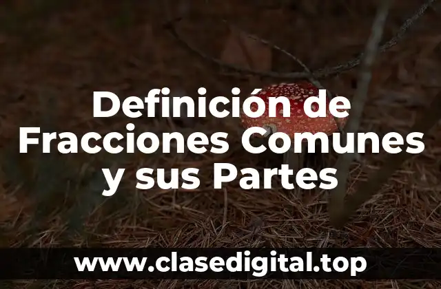 Definición de Fracciones Comunes y sus Partes