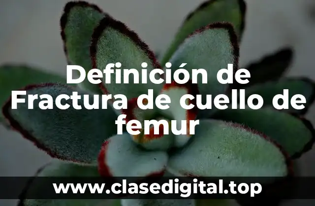 Definición de Fractura de cuello de femur