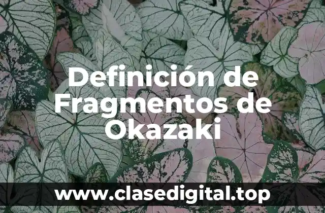 Definición de Fragmentos de Okazaki