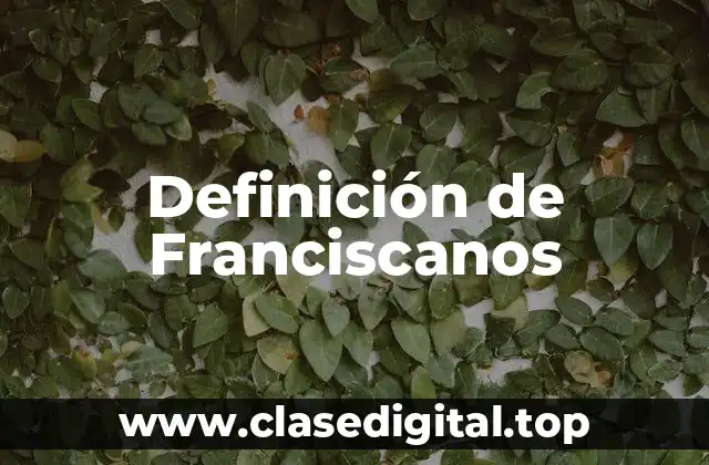 Definición de Franciscanos