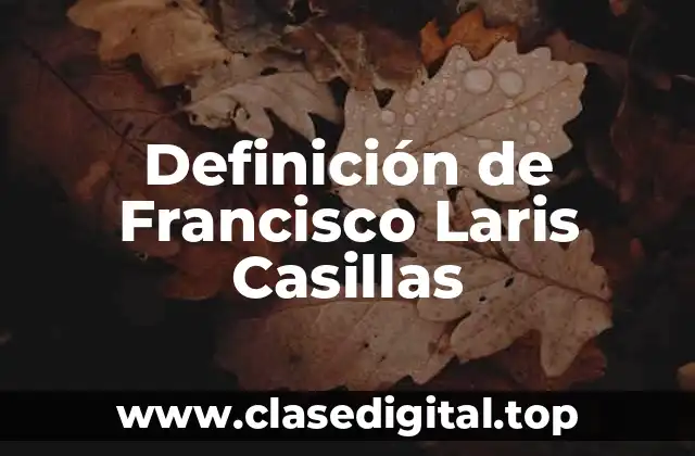 Definición de Francisco Laris Casillas