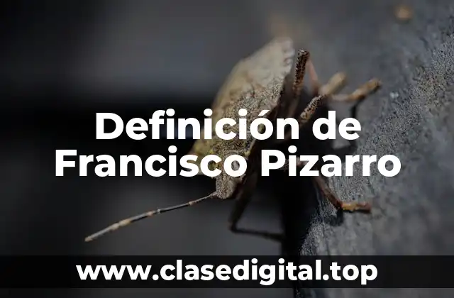 Definición de Francisco Pizarro
