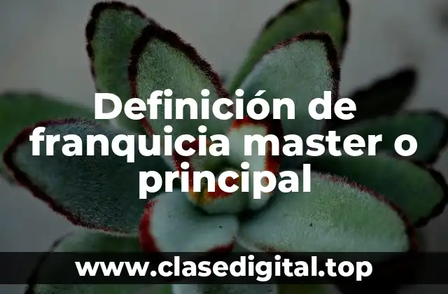 Definición de franquicia master o principal
