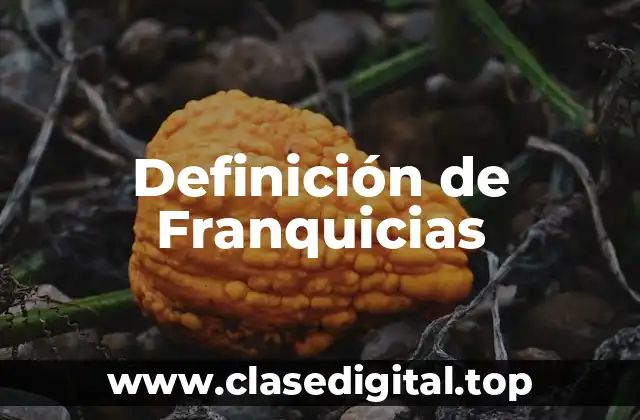 Definición de Franquicias