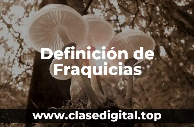 Ejemplos de fraquicias