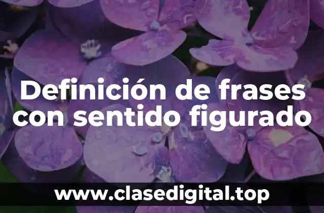 Definición de frases con sentido figurado