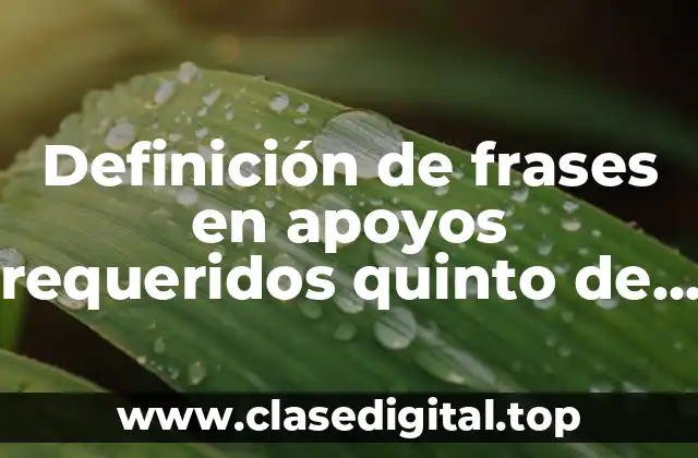 Definición de frases en apoyos requeridos quinto de primaria