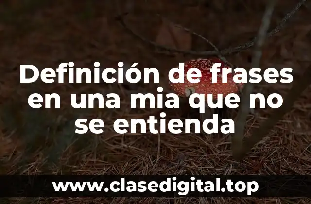 Definición de frases en una mia que no se entienda