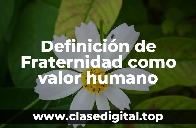 Definición técnica de fraternidad