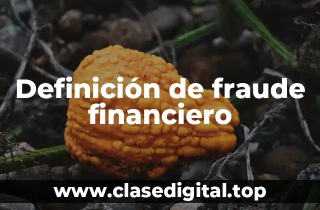 Definición de fraude financiero