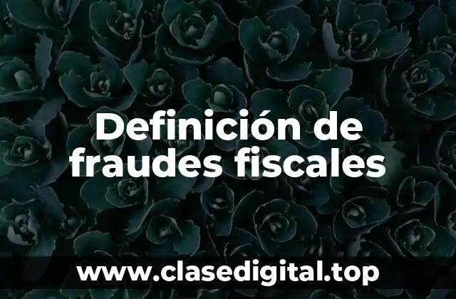 Definición de fraudes fiscales