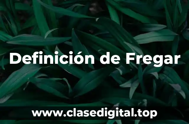 Definición de Fregar