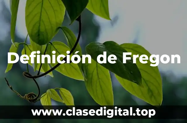 Ejemplos de Fregon