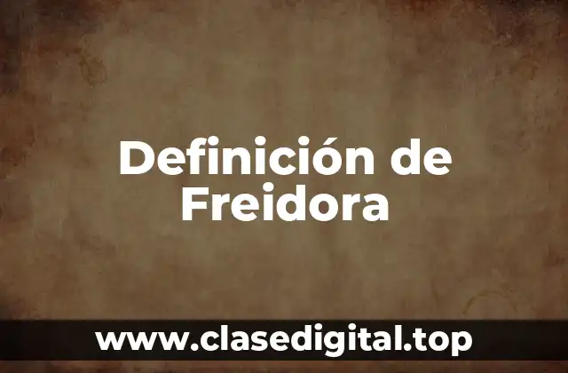 Definición de Freidora
