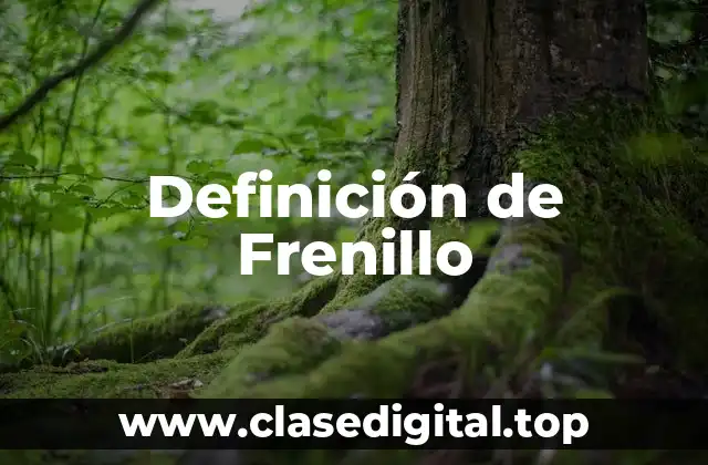 Definición técnica de Frenillo