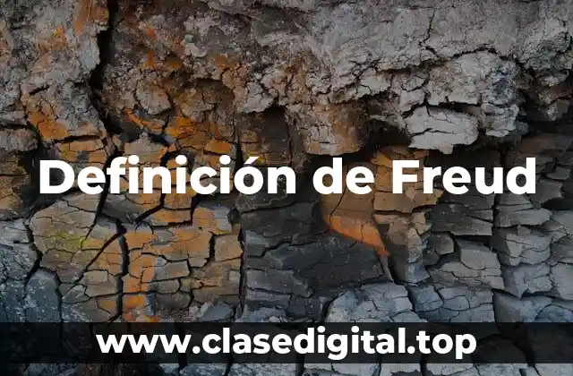 Definición de Freud