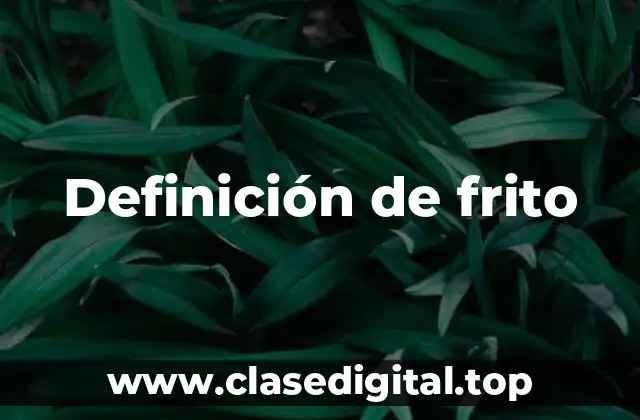 Definición de frito