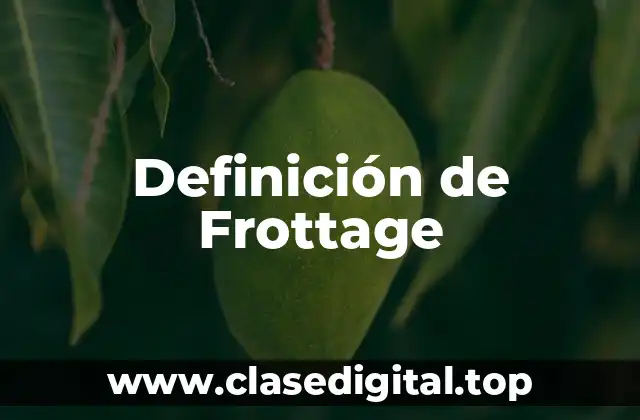 Definición de Frottage