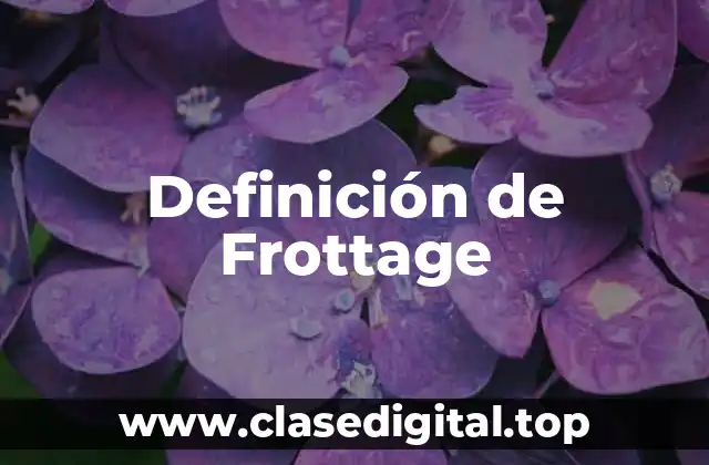 Definición técnica de Frottage