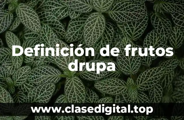 Ejemplos de frutos drupa