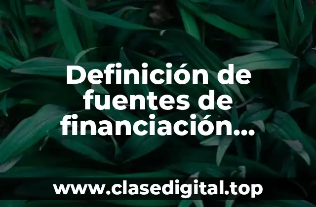 Definición de fuentes de financiación, mecanismos de contribución y agentes