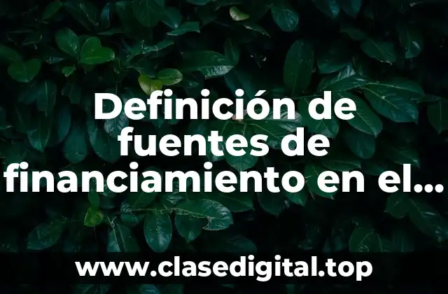 Definición de fuentes de financiamiento en el municipio de Guadalupe