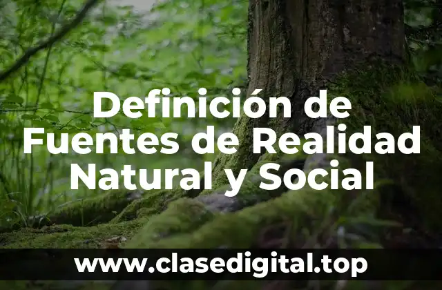 Definición de Fuentes de Realidad Natural y Social