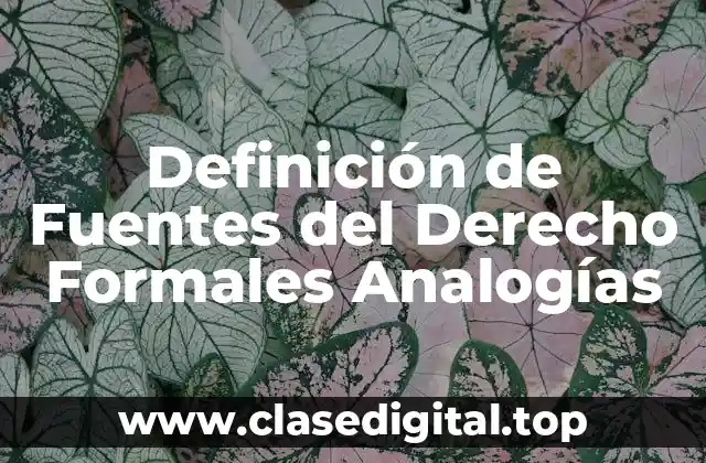Definición técnica de Fuentes del Derecho Formales Analogías