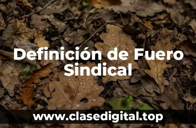 Definición de Fuero Sindical