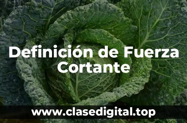 Definición de Fuerza Cortante