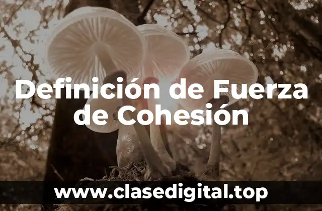 Definición técnica de fuerza de cohesión