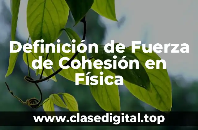 Definición Técnica de Fuerza de Cohesión