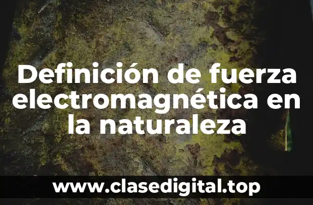 Definición de fuerza electromagnética en la naturaleza