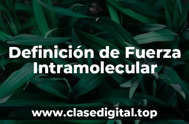 Definición de Fuerza Intramolecular