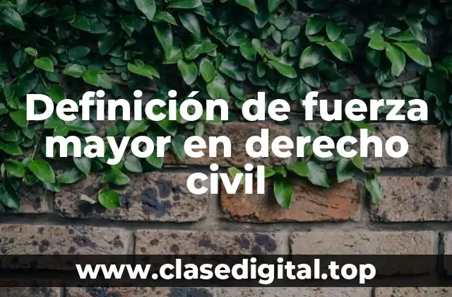 Ejemplos de fuerza mayor en derecho civil