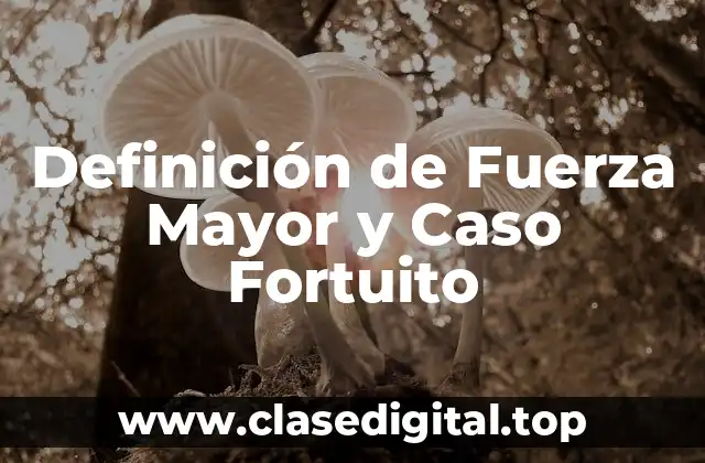 Definición de Fuerza Mayor y Caso Fortuito