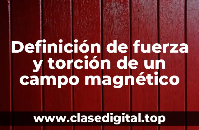 Ejemplos de fuerza y torción de un campo magnético