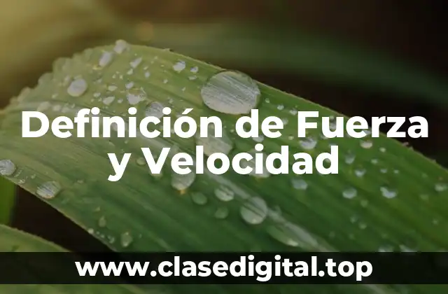 Definición de Fuerza y Velocidad