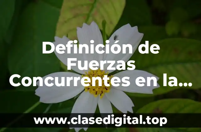 Ejemplos de Fuerzas Concurrentes en la vida cotidiana