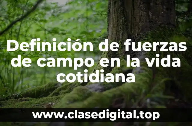 Ejemplos de fuerzas de campo en la vida cotidiana