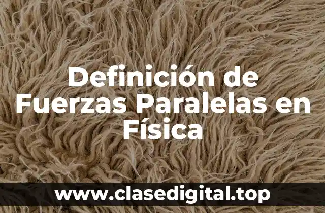 Definición de Fuerzas Paralelas en Física