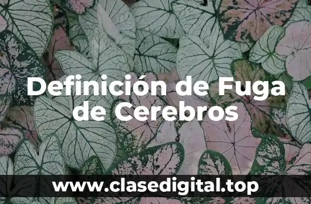 Definición Técnica de Fuga de Cerebros
