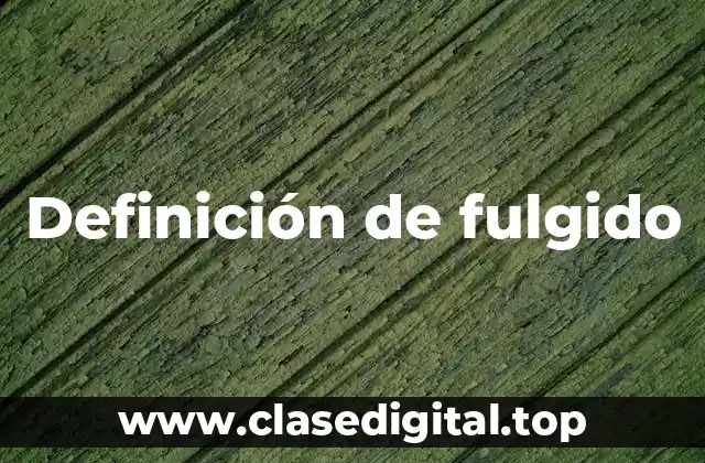 Definición de fulgido