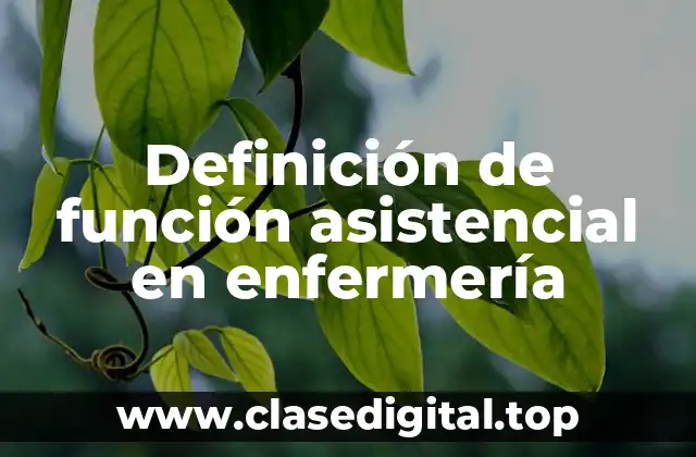 Definición de función asistencial en enfermería