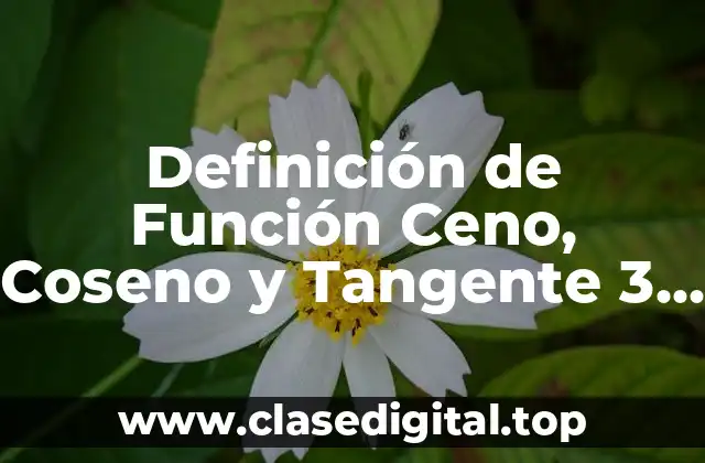 Definición de Función Ceno, Coseno y Tangente 3 Gráficas